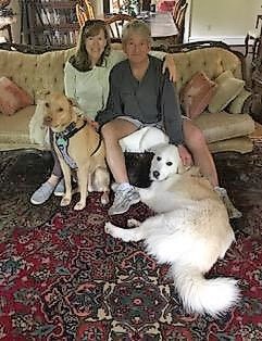 Couple sitting on couch with two dogs next to them