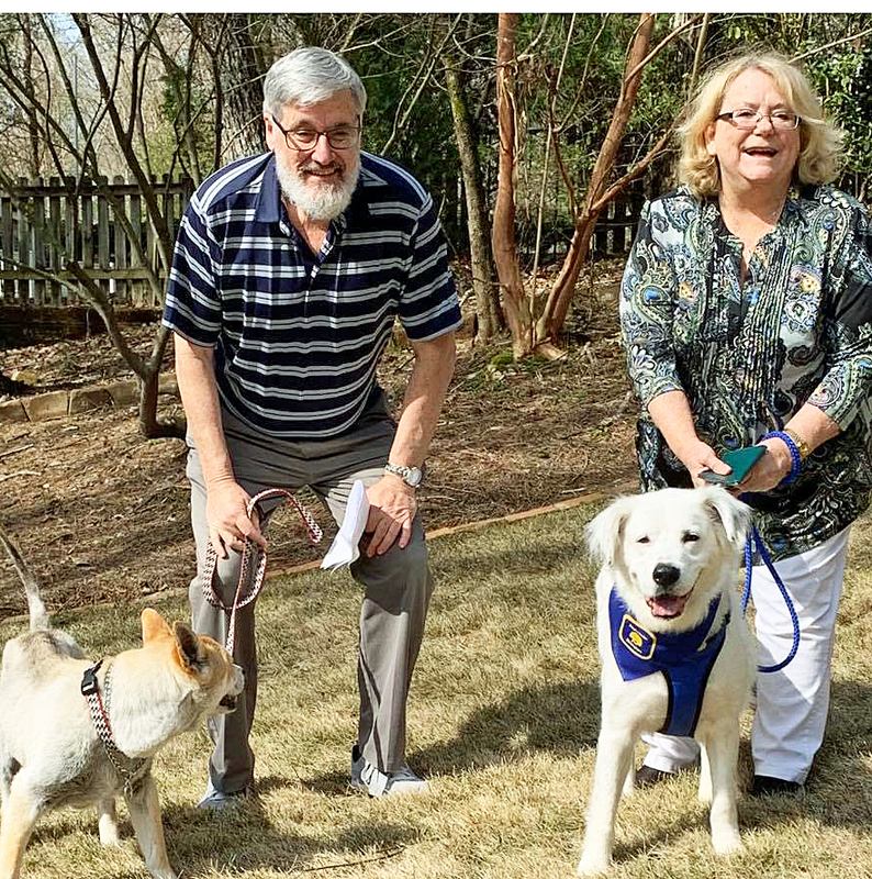 Older couple standing with two dogs, one white golden retriever and another dog, on leashes