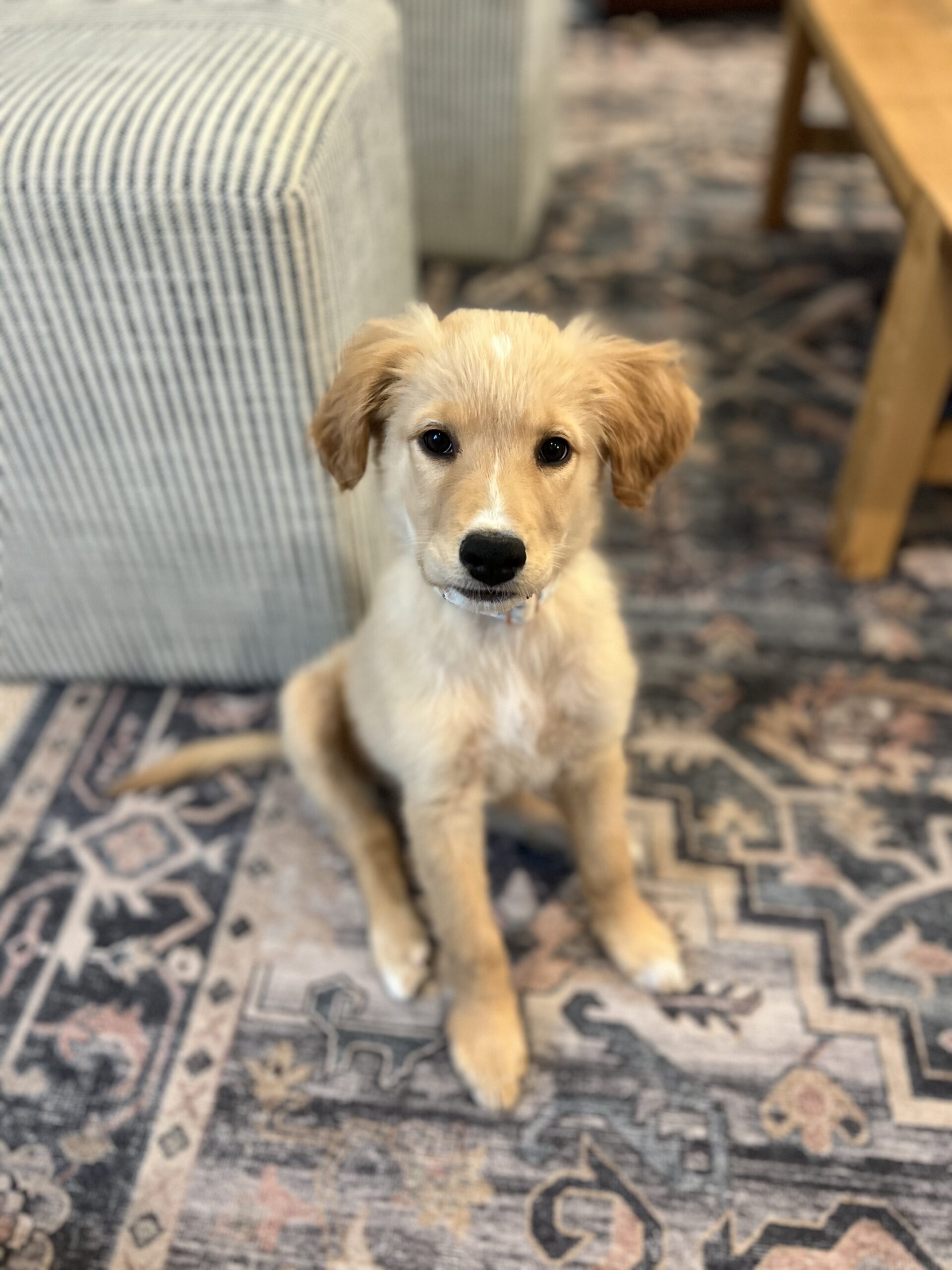 Darla