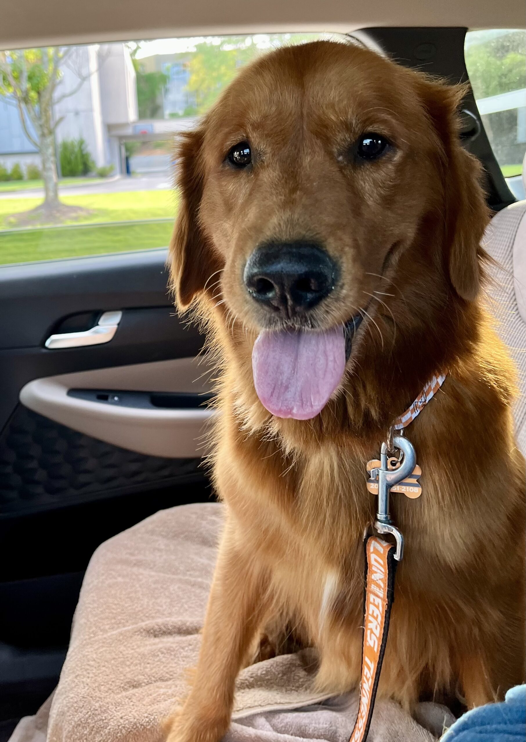 Kona